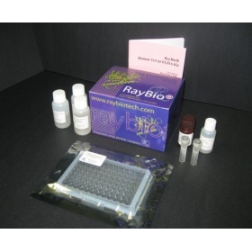 花生四烯酸5脂加氧酶試劑盒_上海豐壽實(shí)業(yè)